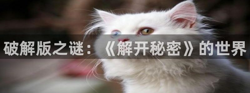 尊龙目前现状